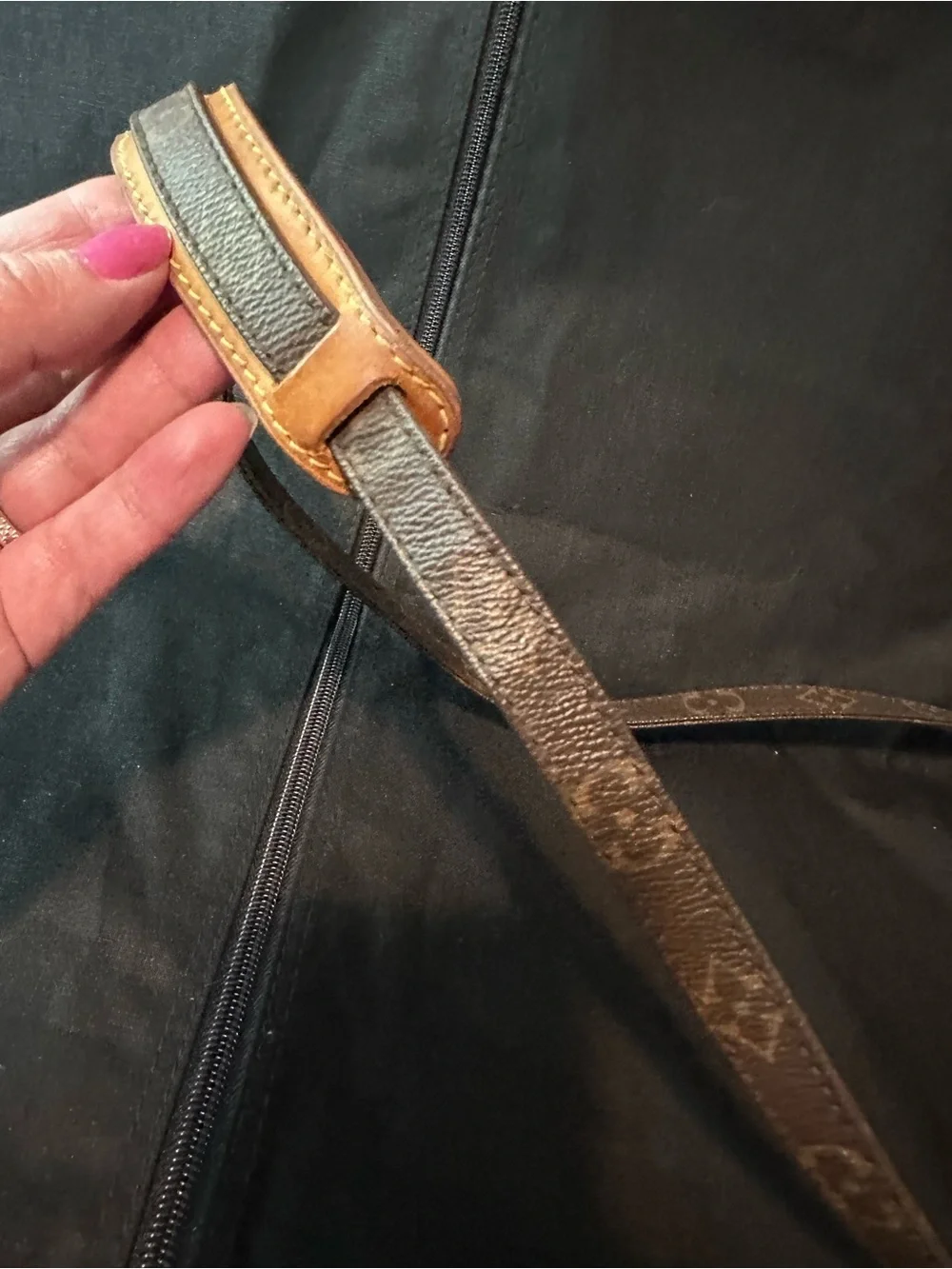 Louis Vuitton Monogram Danube crossbody